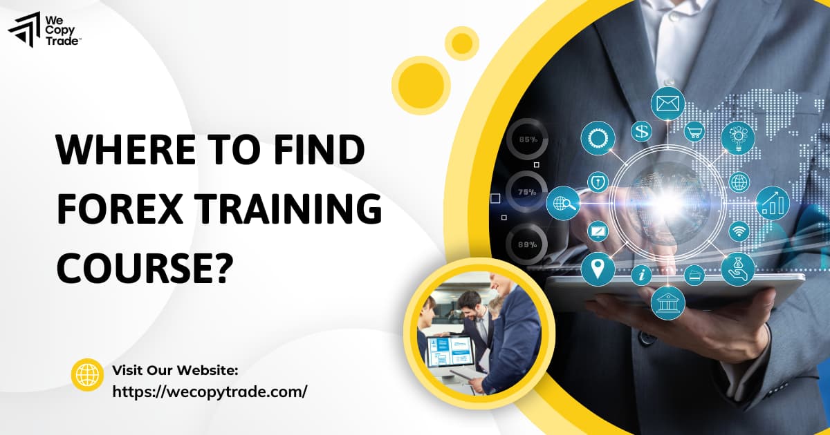 Where to Find Forex Training Course?