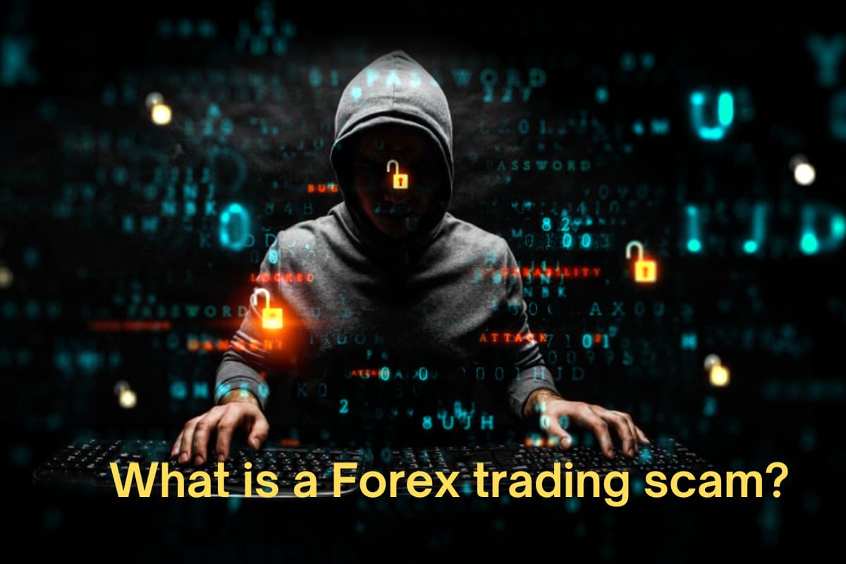 Forex trading scam