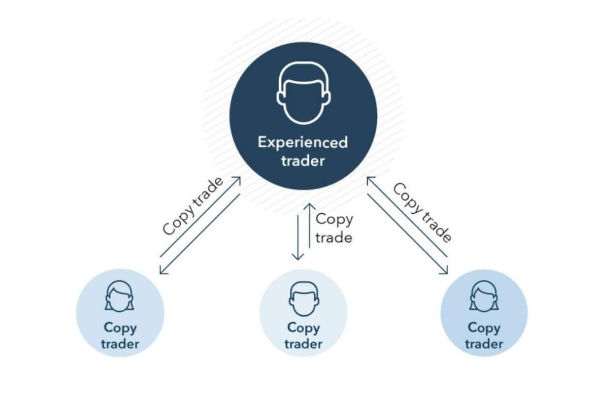 Copy trading allows a trader to copy the trade of a seasoned trader
