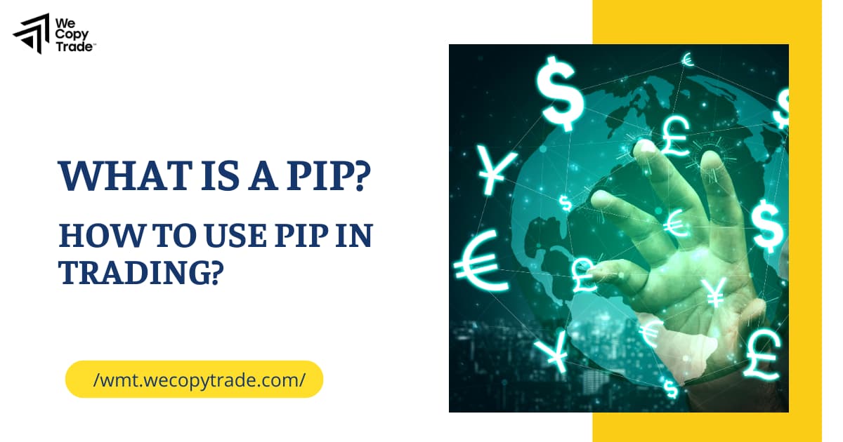 What is a PIP? How to Use PIP in Trading?
