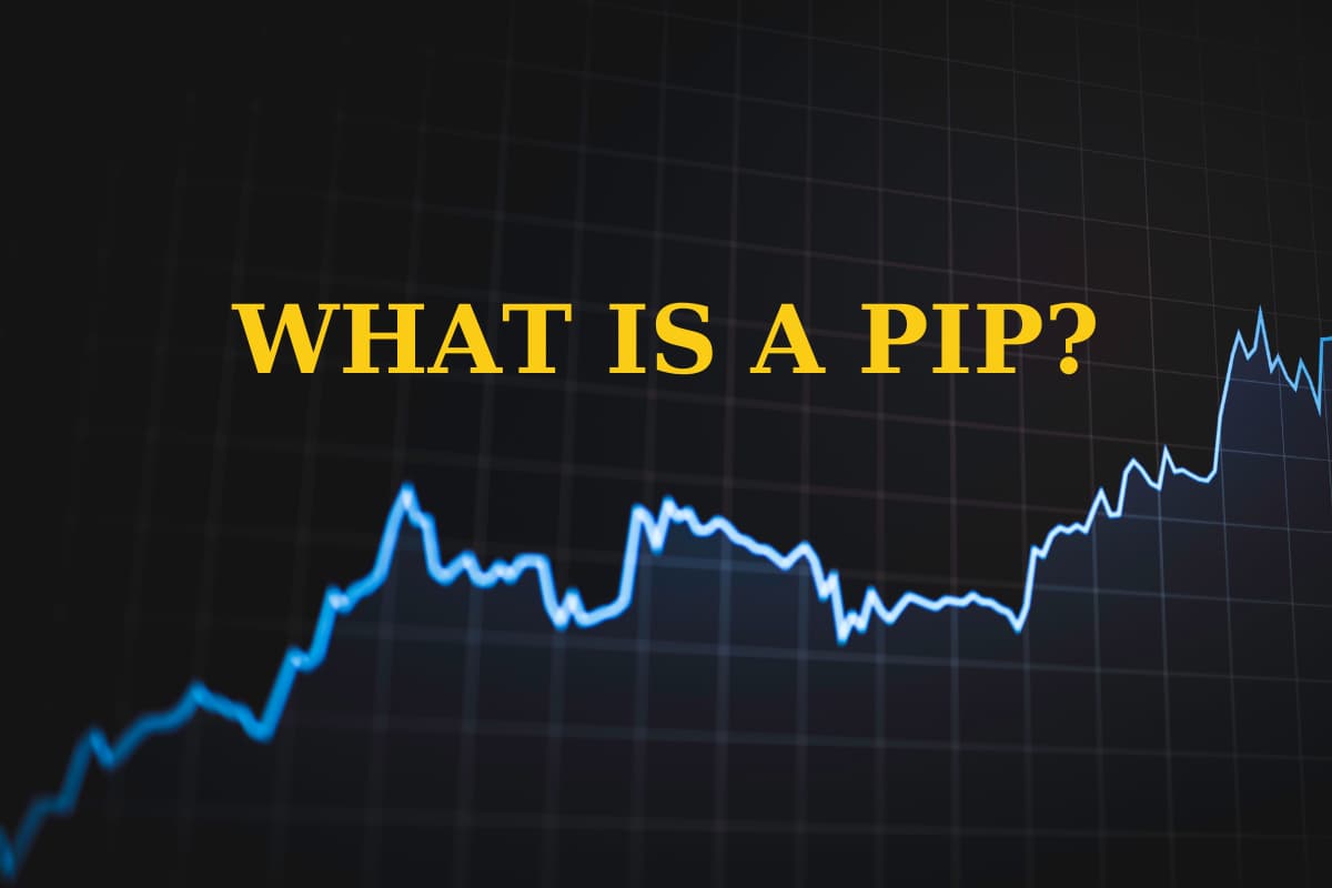 PIP measures a change (gain or loss) that can happen in a currency rate