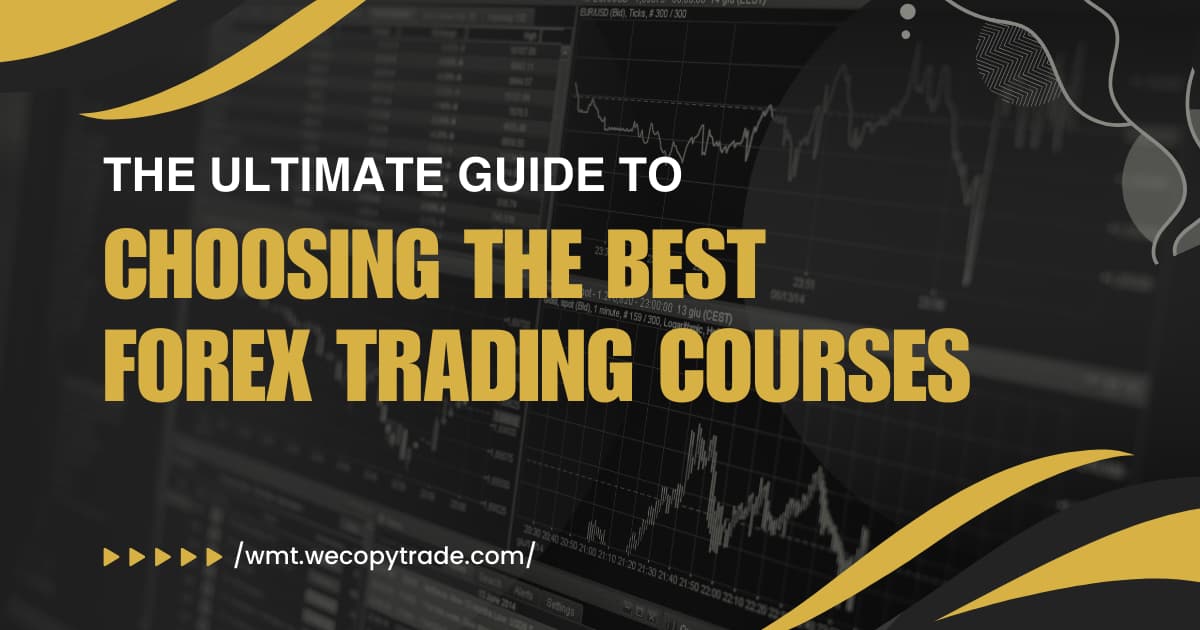 The Ultimate Guide to Choosing the Best Forex Trading Courses